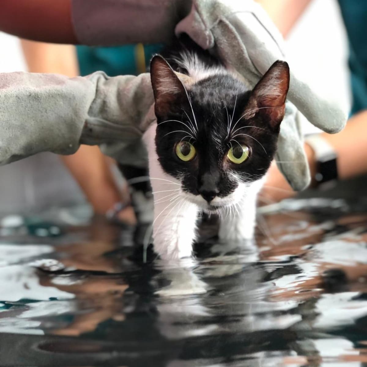 Sessão de hidroterapia na Reabilitare