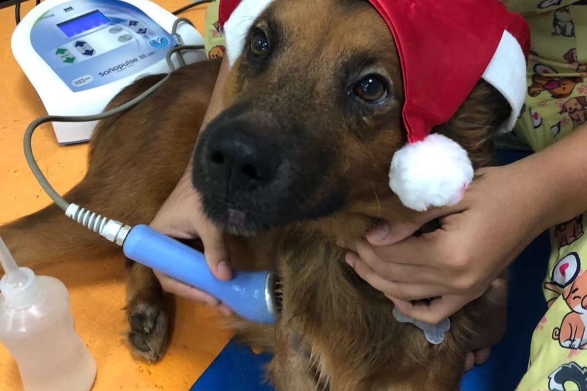 Ultrassom Terapêutico