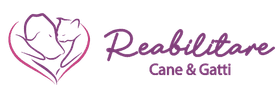 Reabilitare Cane e Gatti